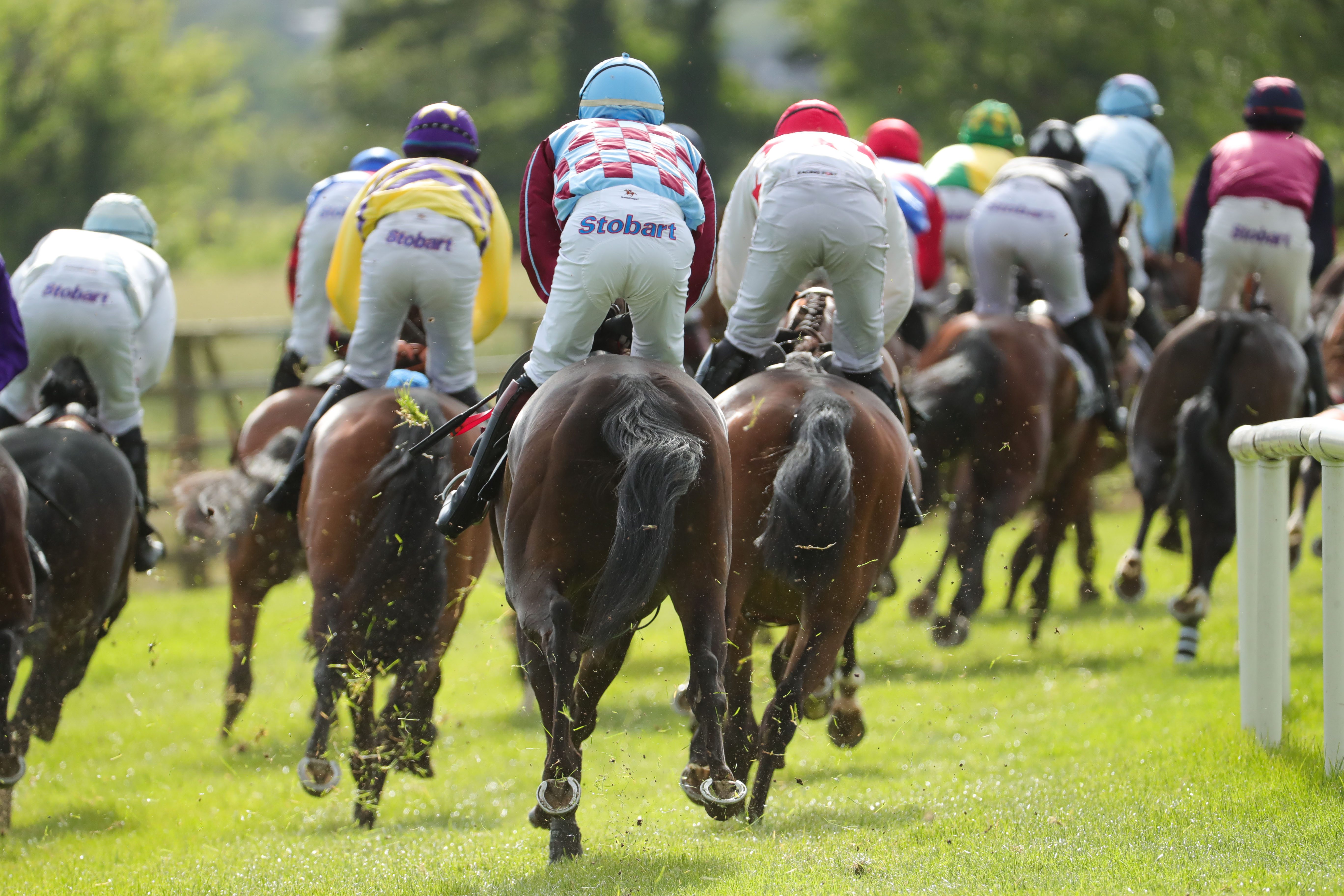 Fixtures » Down Royal Racecourse