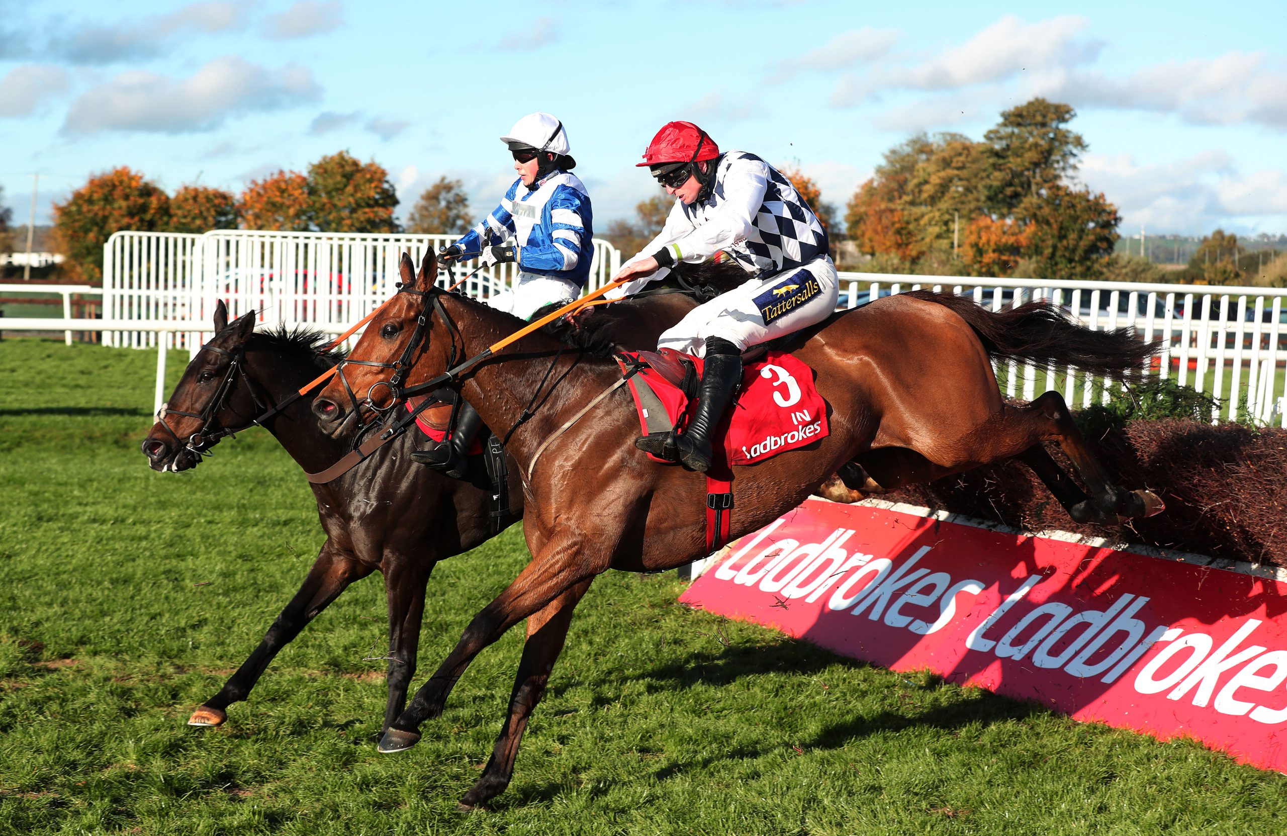 Champion trainer looks to Down Royal as Kemboy features in Ladbrokes Champion Chase entry