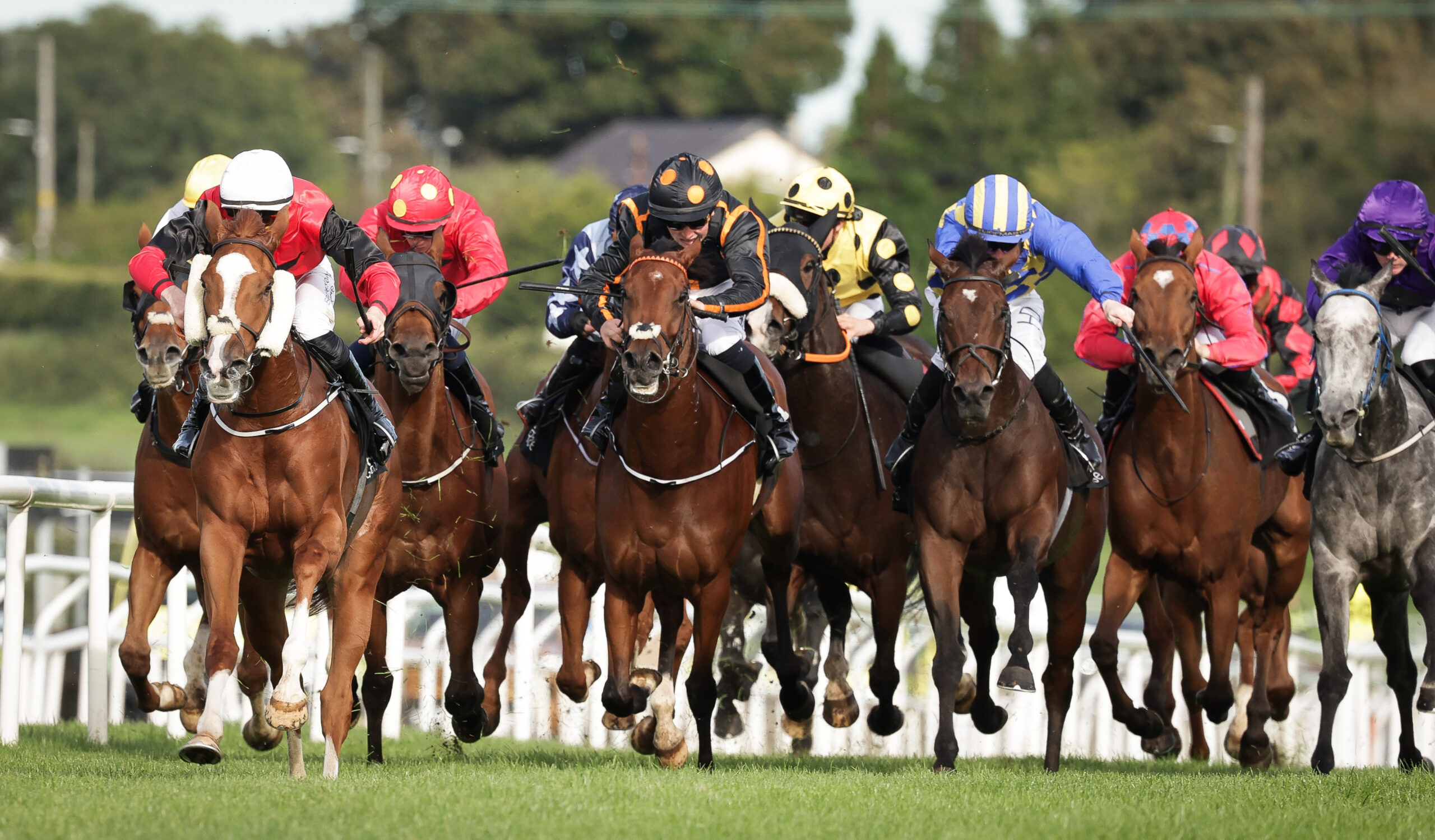 Molson Coors Race Day – Monday 28th September